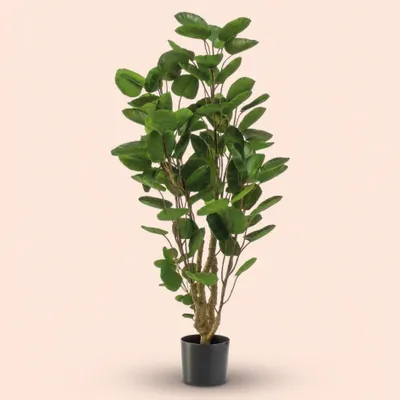 Image de Arbre Polyscias artificiel de 105cm en pot - plante artificielle réaliste aux