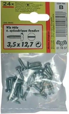 Image de Vis Tôle Tête Cylin.4.19x25.4 - Vynex