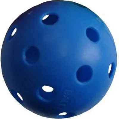 Image de Floorball PROFESSION farbig SPORT 2020 blau