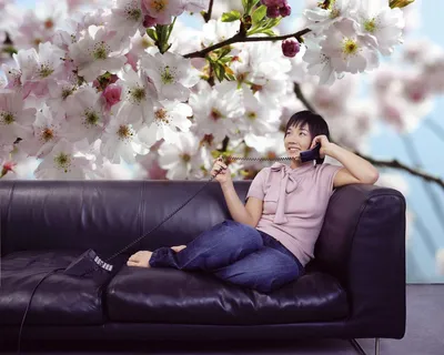 Produktbild von Komar Fototapete "Spring", weiß/blau/rosa, Kirschblüte, 368 x 254 cm