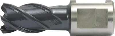 Produktbild von Kernbohrer HSS-Co RQX 26/30mm Alfra