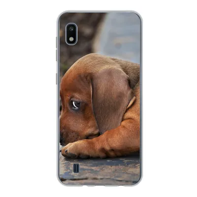 Produktbild von MuchoWow® Handyhülle Schutzhülle Hülle für Samsung Galaxy A10 Dackelwelpe liegt am Rande des Bürgersteigs Silikon Softcase Handy Hülle - Schutzhülle