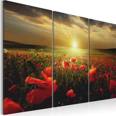 Produktbild von Modernes Wandbild 030112- 40 (120x80) - 3 Teilig Bilder Fotografie auf Vlies Leinwand Foto Bild Dekoration Wand Bilder Kunstdruck Blumen