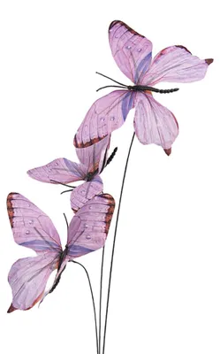 Immagine prodotto di Clayre & Eef Decorazione Ramo con farfalla 10x10x65 cm Viola Tessuto