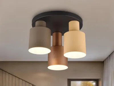 Produktbild von Trio Leuchten LED-Deckenleuchte Agudo E27 schwarz Metall