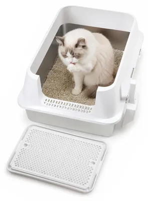Image de Litière pour chat en acier inoxydable Peviasot XXL, dimensions 71 x 51 x 30 cm, ouverte, avec rebord élevé, idéale pour les grands chats et les foyers avec plusieurs chats, de couleur blanche