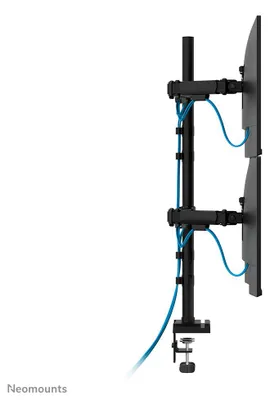 Obrázok produktu pre Neomounts DS60-600BL2-2, Svorka/priechodka, 8 kg, 25,4 cm (10"), 81,3 cm (32"), 100 x 100 mm, Čierna