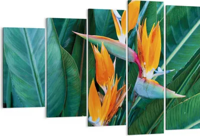 Produktbild von Bild auf Leinwand - Leinwandbild - 5 Teile - Himmlisch Vogel Blume - 150x100cm - Wand Bild - Wanddeko - Wandbilder - Leinwanddruck - Bilder - Wanddekoration - Leinwand bilder - EG150x100-4980