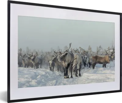 Produktbild von MuchoWow® MuchoWow® Gerahmtes Poster Rentier - Schnee - Tiere 60x40 cm - Poster mit zchwarzem Bilderrahmen - Schlafzimmer - Plakat in Rahmen - Drucken