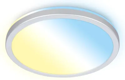 Produktbild von LED Deckenleuchte Panel Backlight, Silber, 18 Watt, 2400lm, 2700 – 6500K, dimmbar – Briloner