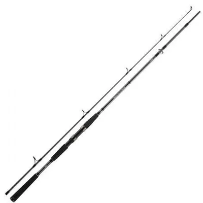 Produktbild von Daiwa Meeresrute Seahunter X Pilk