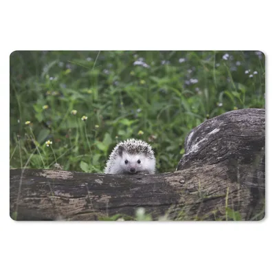 Produktbild von MuchoWow® Mauspad Mousepad Kleiner Igel auf Baumstumpf 27x18 cm - Mousepads - Maus Mat - Pad - Mausunterlage - Büroartikel - Desk Matten