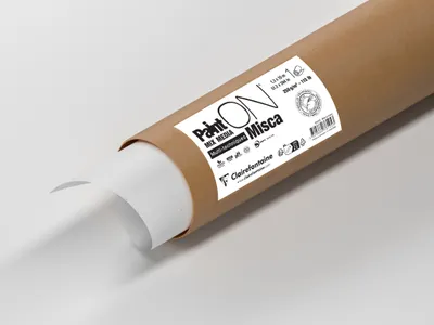 Produktbild von Clairefontaine PaintON Misca, Rolle 1,30x10m 250g, Mixed Media 976125C