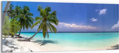 Produktbild von DEQORI Glasbild Echtglas 125x50 cm 'Paradiesischer Strand' Wandbild Bild modern Deko
