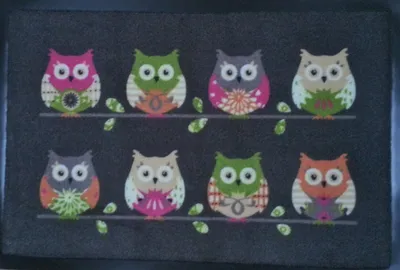 Produktbild von Fußmatte Eule Fußabtreter Schmutzmatte Motiv 8 Eulen Trendstern OWL