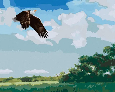 Produktbild von Zuty - Malen nach Zahlen - FLIEGENDER ADLER (D. RUSTY RUST), 40x50 cm, ohne Keilrahmen