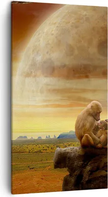 Produktbild von Bild auf Leinwand - Leinwandbild - Affen Mutter Natur Berg - 45x80cm - Wand Bild - Wanddeko - Leinwanddruck - Bilder - Kunstdruck - Wanddekoration - Leinwand bilder - Wandkunst - PA45x80-2287