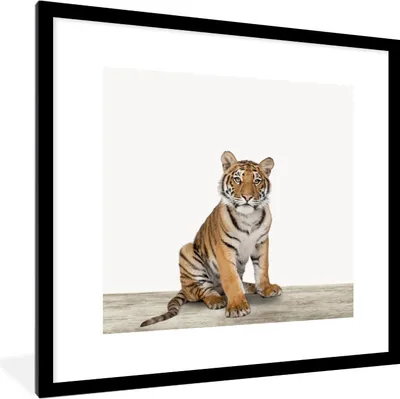 Produktbild von MuchoWow® MuchoWow® Gerahmtes Poster Tiger - Weiß - Tiere - Kinder - Kinder 40x40 cm - Poster mit zchwarzem Bilderrahmen - Poster - Plakat im Rahmen