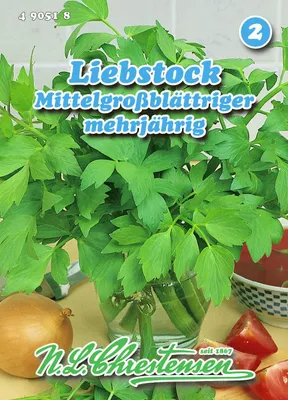 Produktbild von Liebstock Mittelgroßblättriger | Liebstöckelsamen von N.L. Chrestensen