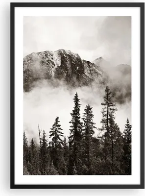 Produktbild von Gerahmtes Poster - Schwarzer Rahmen - Nebel Berg Wald - 50x70 cm - Wand Bild - Wanddeko - Wandbilder - Kunstposter - Wandposter - Bilderrahmen - Bilder - Kunstdruck - Wanddekoration - P2BPA50x70-4936