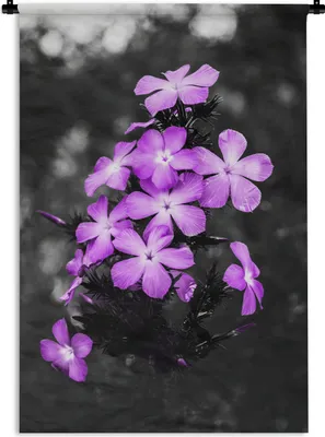 Produktbild von MuchoWow® Wandteppich Wandbehang Blumen - Lila - Schwarz - Weiß 60x90 cm Tapisserie Dekoration Wandtuch - Foto-Teppich - Abwaschbar