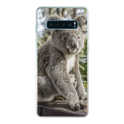 Produktbild von MuchoWow® Handyhülle Schutzhülle Hülle für Samsung Galaxy S10 Lite Koala - Regal - Pflanzen - Kinder - Jungen - Mädchen Silikon Softcase Handy Hülle - Schutz