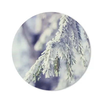 Produktbild von MuchoWow® Mauspad Mousepad Winter - Tannenbaum - Schnee - Ländlich 20x20 cm - Mousepads - Maus Mat - Pad - Mausunterlage - Schreibtischmatte