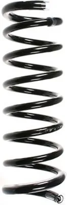 Image de Jeu de ressorts de suspension pour essieu avant, ressorts hélicoïdaux Ø 164 mm SPIDAN pour RENAULT SCÉNIC