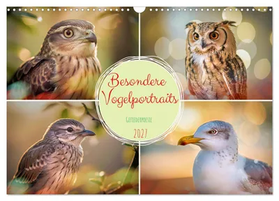 Produktbild von Besondere Vogelportraits (Wandkalender 2027 DIN A3 quer), CALVENDO Monatskalender