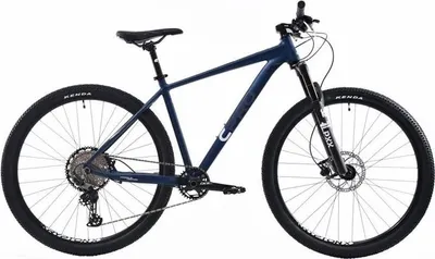 Image de VTT Capriolo MTB AL-RO 9.7 29"/19" bleu