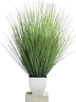 Produktbild von aplanta Künstliches Isolepsisgras - Alma | 80 cm, für drinnen, Kunstpflanze, wie echt, Allergiker geeignet, pflanzliche Dekoration Praxis, Office & Wohnzimmer