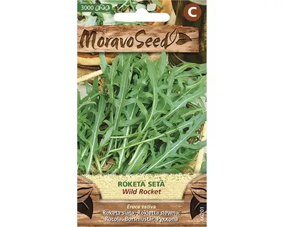 Obrázok produktu pre Rukola siata Wild Rocket semená MoravoSeed