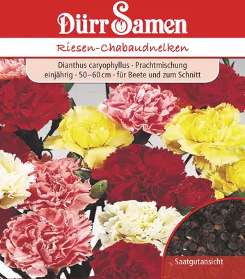 Produktbild von Riesen Chabaudnelke | Chabaudnelkensamen von Dürr Samen