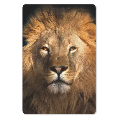 Produktbild von MuchoWow® Mauspad Mousepad Löwe - Tiere - Schwarz - Hell - Braun - Porträt 18x27 cm - Mousepads - Maus Mat - Pad - Mausunterlage