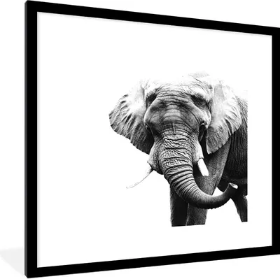 Produktbild von MuchoWow® Gerahmtes Poster Elefant - Tiere - Schwarz - Weiß 40x40 cm - Poster mit Schwarzem Bilderrahmen Wandposter Rahmen Foto Bilder - Poster - Plakat im Rahmen