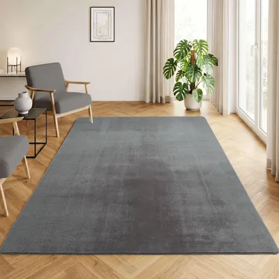Image de Homebyhome Tapis Lavable à Poils Courts Antidérapant et Doux Design Uni Moderne pour Salon et Chambre à Coucher, Taille: 140x200 cm