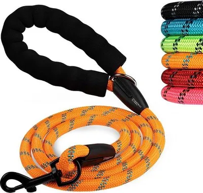 Produktbild von Famanu Hundeleine 180 cm - Reflektierend, gepolstert, orange