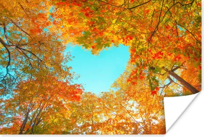 Produktbild von MuchoWow® Poster Bäume - Herbst - Herz - Natur - Orange - Herz 120x80 cm - Bilder