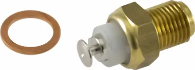 Obrázok produktu pre Termostat RMS kompatibilný s Ducati / Cagiva, 800053249