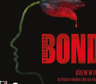 Produktbild von Krew w piach - Katarzyna Bonda (Hörbuch auf Polnisch)