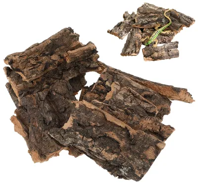 Image de 10 morceaux d'écorce de bois pour reptiles, décoration naturelle pour terrarium