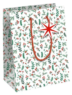 Produktbild von Clairefontaine X-32820-3C, Geschenkverpackungstasche, Muster, 210 g/m², 215 mm, 102 mm, 253 mm