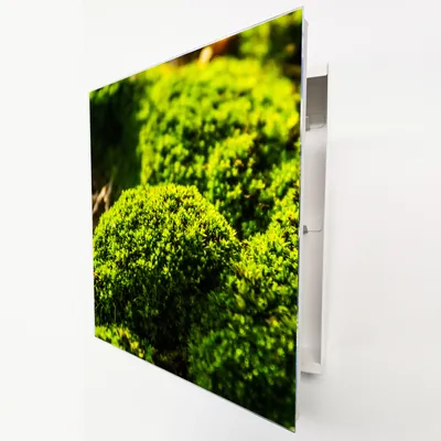 Produktbild von Schlüsselkasten Weiß Metall, grünes Moos Wald Motiv hinter Glas, Moderne Schlüsselbox rechtsöffnend, 32x28x6,5 cm, 20 Haken für Ordnung im Flur.