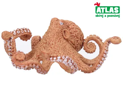Zdjęcie produktu dla D - figurka chobotnice 10,5 cm
