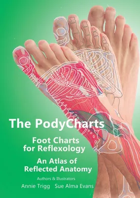 Produktbild von The PodyCharts Foot Charts for Reflexology