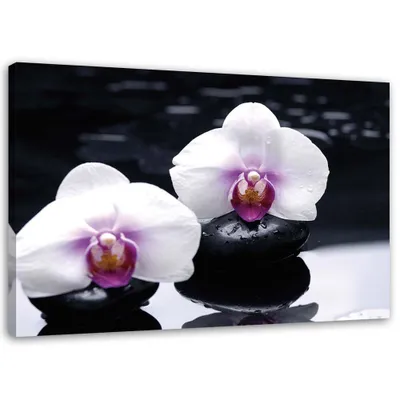Produktbild von Leinwandbild zen-orchidee 100x70 cm Feeby grau wandbild bereit zum aufhängen