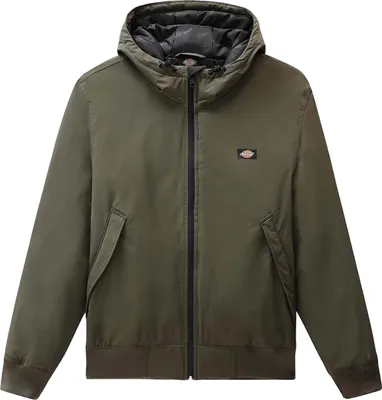 Produktbild von Dickies Jacket DK0A4XG8MGR1 in Green color size large
