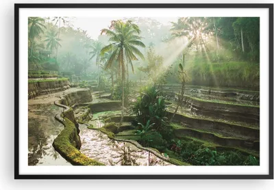 Produktbild von Gerahmtes Poster - Schwarzer Rahmen - Terrassen Reis Palmen - 91,5x61 cm - Wand Bild - Wanddeko - Wandbilder - Kunstposter - Wandposter - Bilderrahmen - Bilder - Kunstdruck - P2BAA91x61-4665
