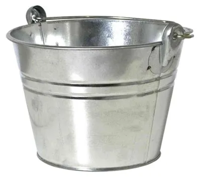 Image de SIENA GARDEN Seau avec anse à oeillet 4 l, galvanisé