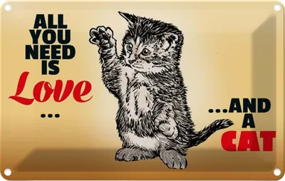 Produktbild von vianmo Blechschild 12x18 cm All you need is love and a cat